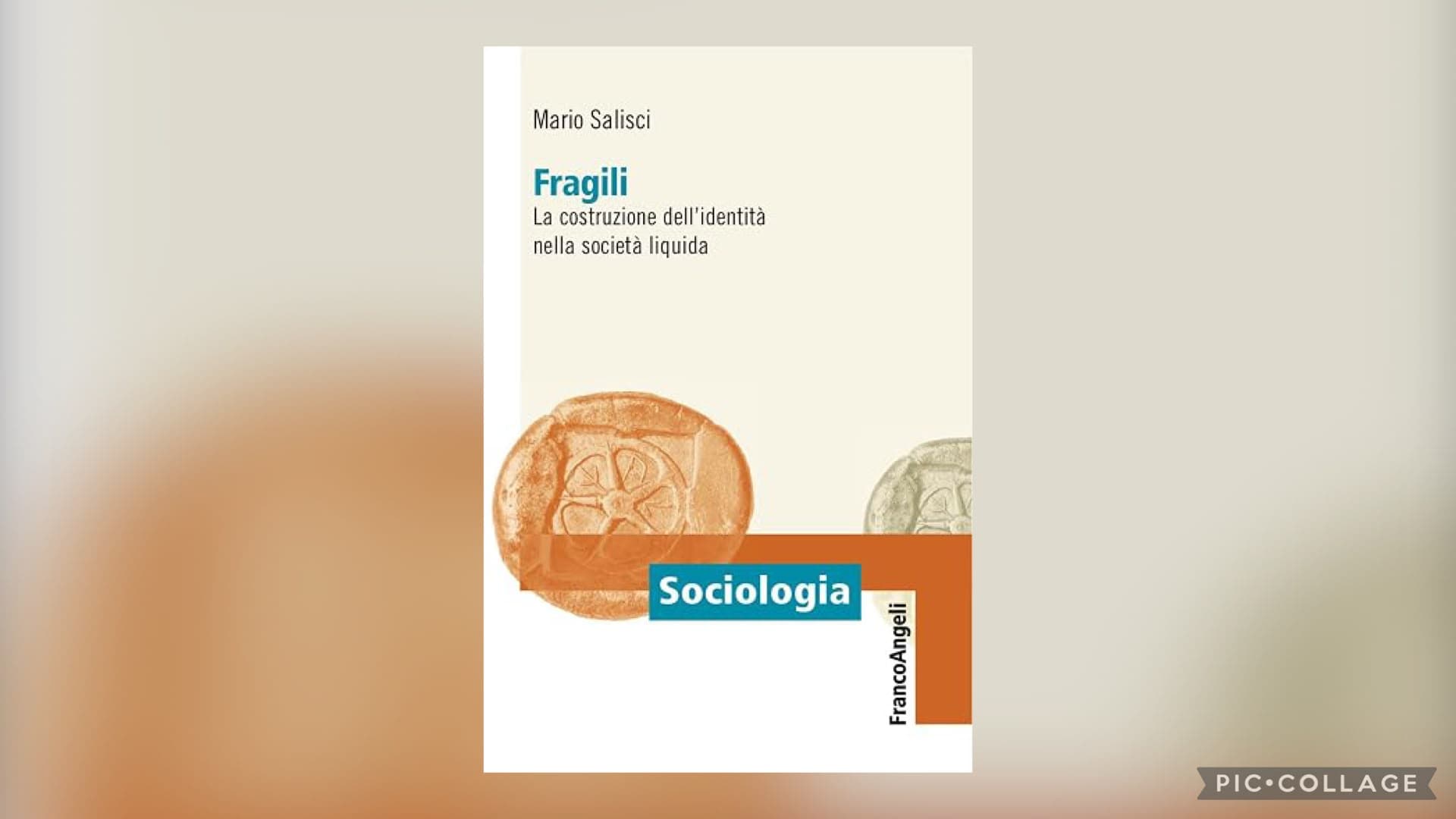 Copertina del libro Fragili di Mario Salisci, con illustrazioni di monete antiche e testo Sociologia.